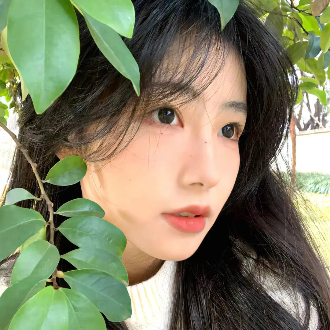 嘉丽与我